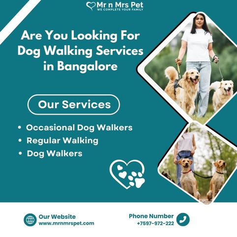 Professional Dog Walking Services in Bangalore